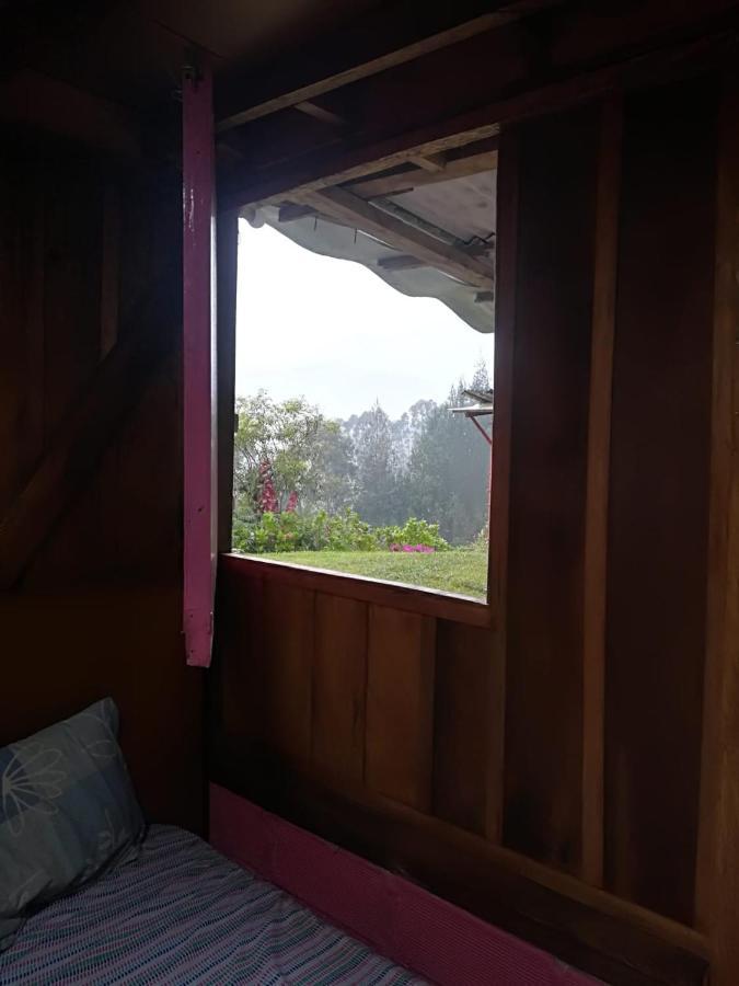 Finca Cafetera El Coral Jardín Eksteriør billede