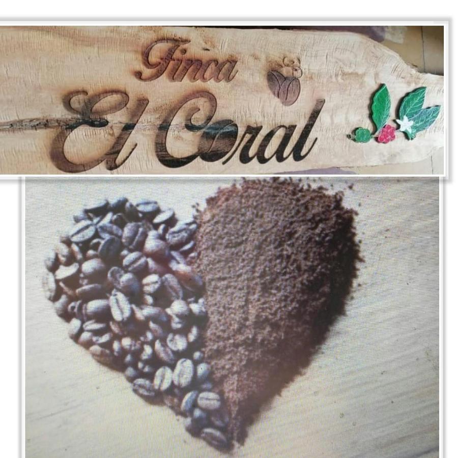 Finca Cafetera El Coral Jardín Eksteriør billede