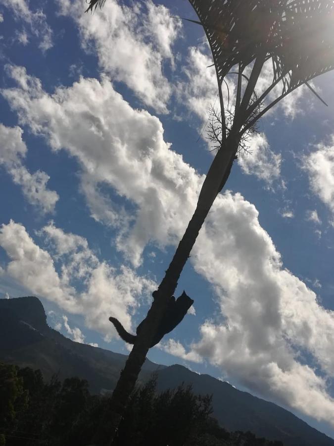 Finca Cafetera El Coral Jardín Eksteriør billede