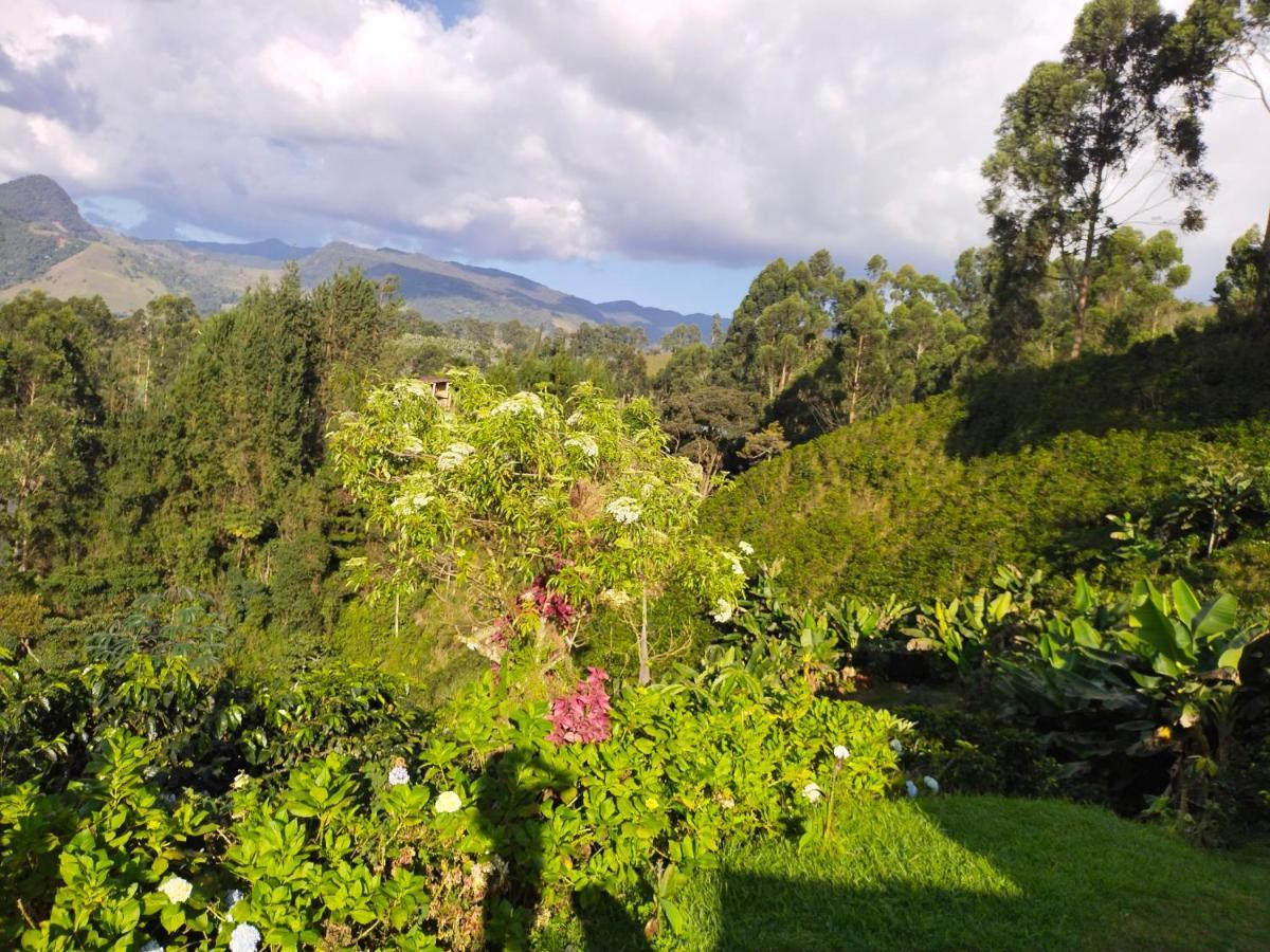 Finca Cafetera El Coral Jardín Eksteriør billede