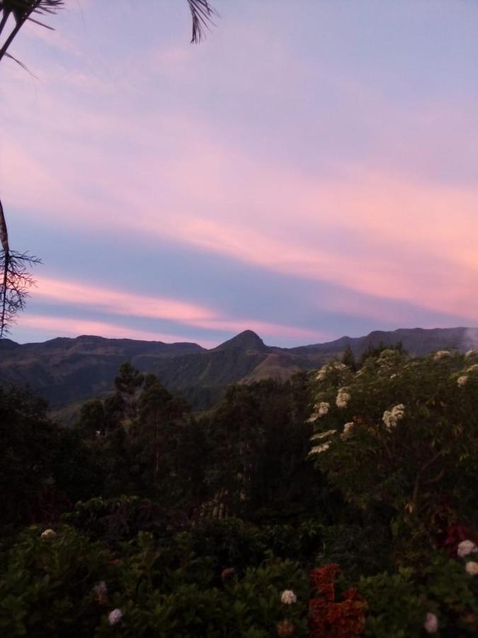 Finca Cafetera El Coral Jardín Eksteriør billede