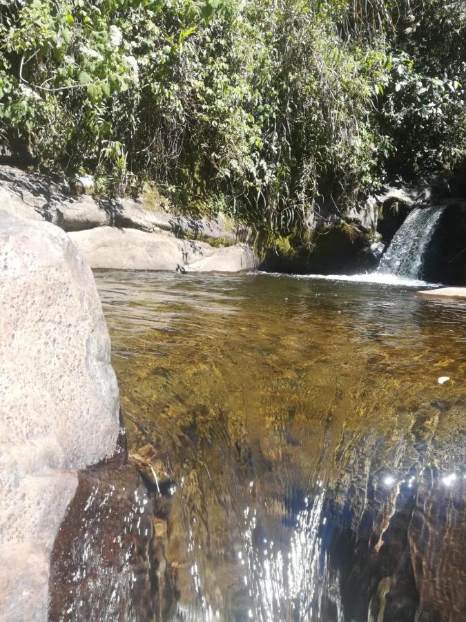 Finca Cafetera El Coral Jardín Eksteriør billede