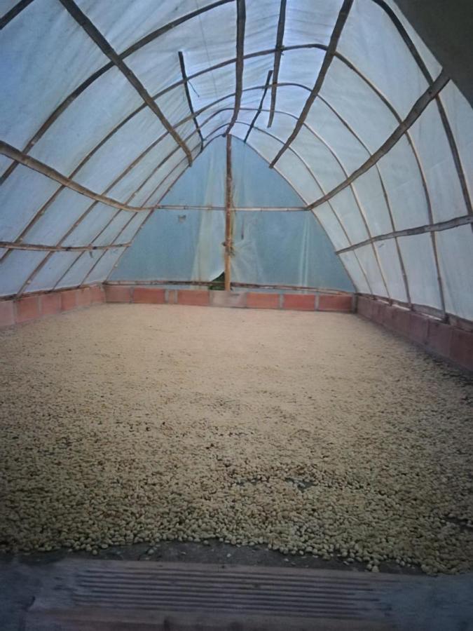 Finca Cafetera El Coral Jardín Eksteriør billede